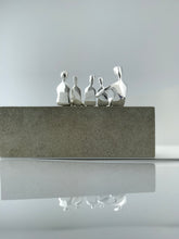 Load image into Gallery viewer, Caress in silver
